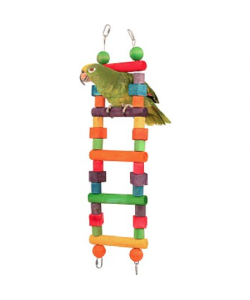 Rainbow Wooden Parrot Ladder - Small